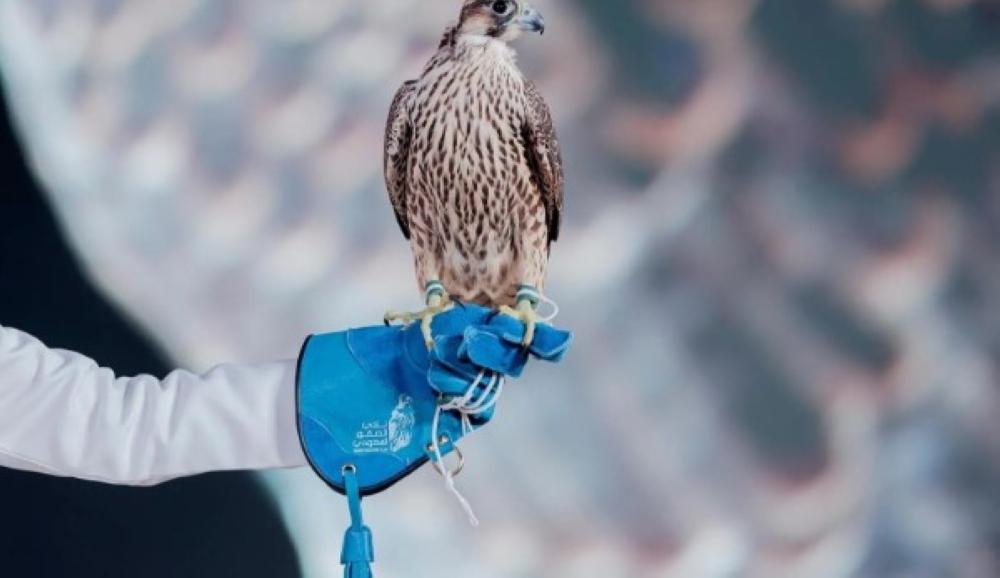 Be7874b2 db19 4274 b2f7 1dc00db8230c file.jpg