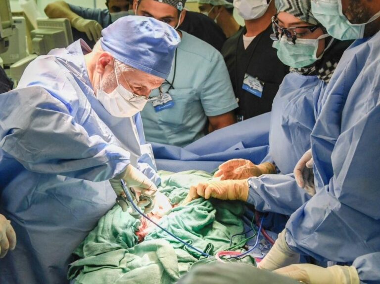 C33c628c b7b3 4d02 ae4a 90db6476a45a file.jpg