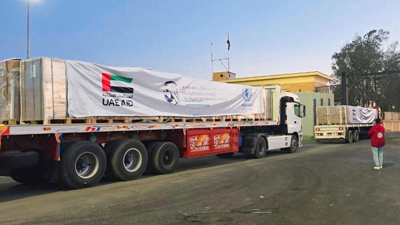 C56526e6 22c9 4b12 b519 1f64a266e9ff file.jpg