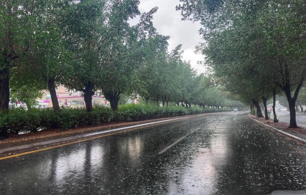 C5eee70e 0852 4367 9334 b6551047959e file.jpg