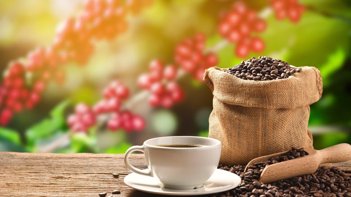 القهوة أرخص بعد كلمة من ترامب.. مفاجأة في أسواق البن العالمية