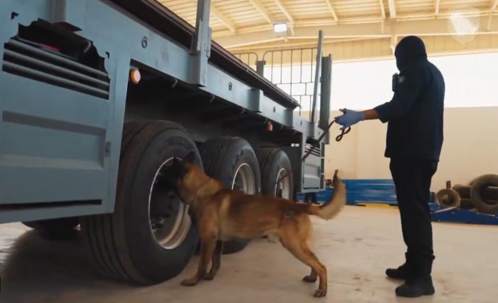 D1a6235d 67a9 4da8 9652 2df7bfcd9368 file.jpg