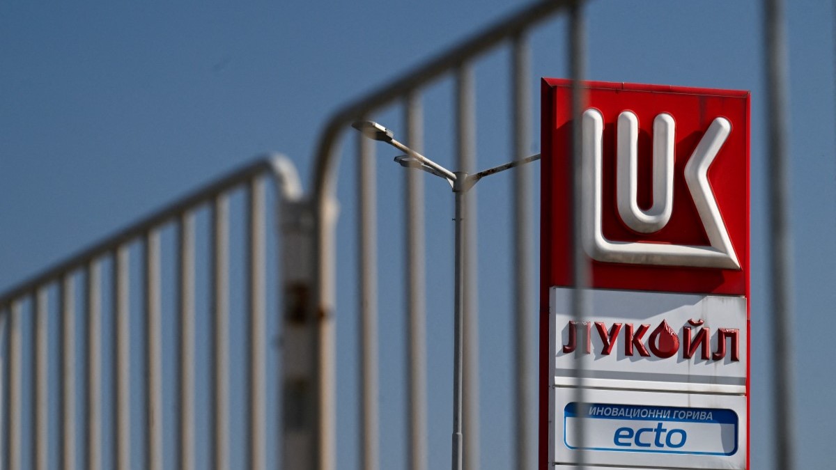 D691145b a79e 44a4 988c ebdb2776e0ce file.jpeg