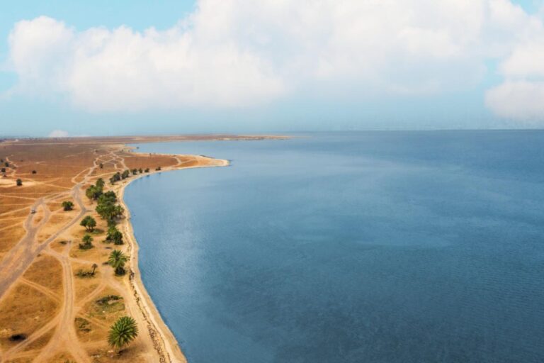 D813351b 27fc 463d 982d ab6d9c378c1c file.jpg