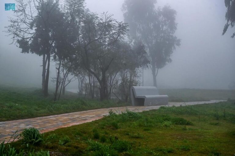 D84cff75 48b7 422f a168 e34d2f0dcf8e file.jpg