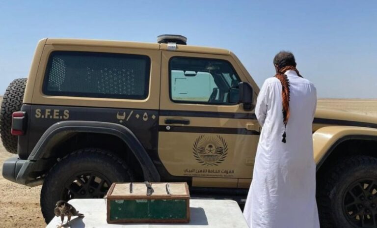 Defa823f 6e4e 4bf7 9aa7 b365b1b5dcea file.jpg