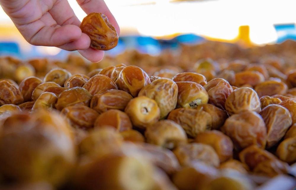 تمور السعودية تتصدر العالم.. 15 صنفًا ضمن قائمة “TasteAtlas” للأفضل