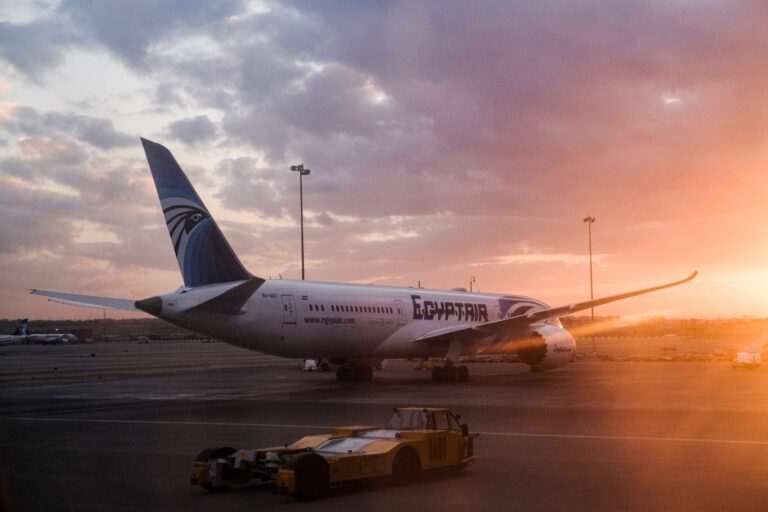 Eb066009 ae13 4644 8c8f a2318df9393b file.jpeg