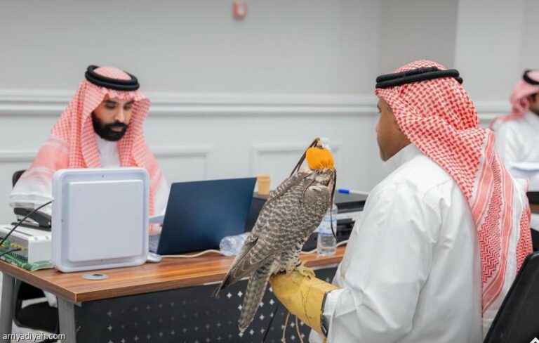 Ee4799d0 592d 4ee5 a601 c60c32c8ec0b file.jpg