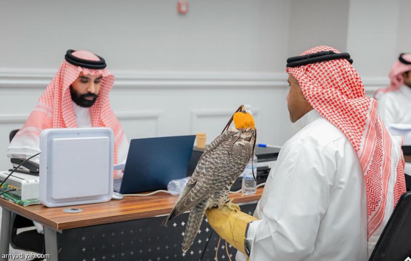 Ee4799d0 592d 4ee5 a601 c60c32c8ec0b file.jpg