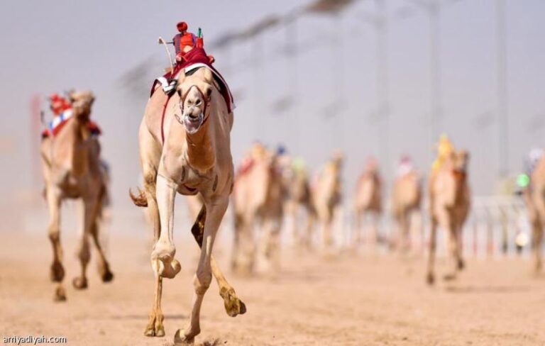 F1209a19 8b94 4b4d 8248 daff083ce855 file.jpg