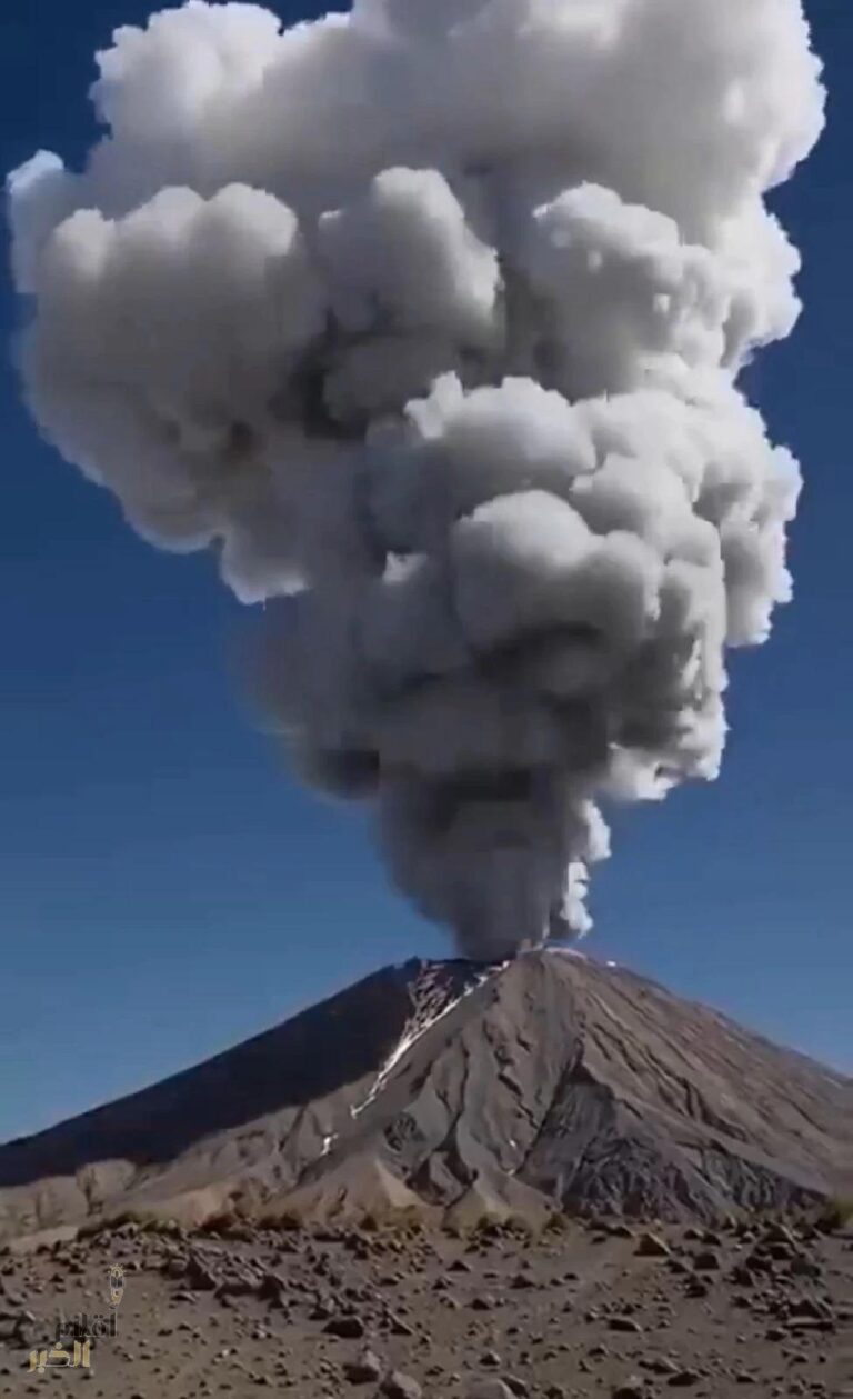 F2008062 3b77 4200 9832 a1d970963b7d file.jpg