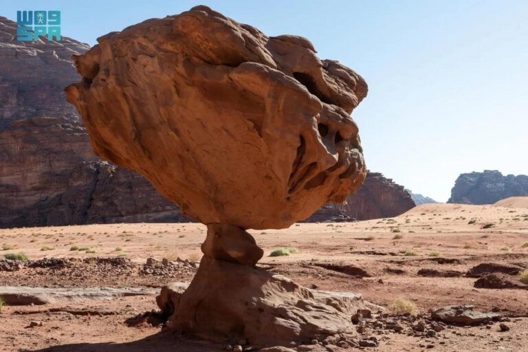 F30288b0 84a3 40a9 befe b20b62cb4a8a file.jpg