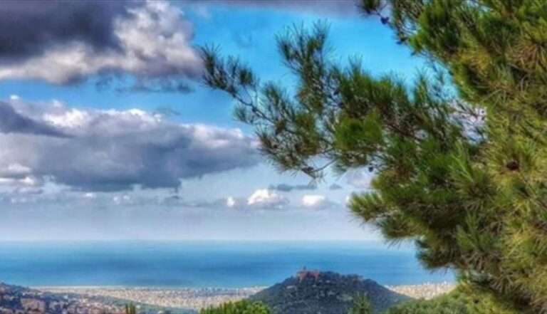 F4ebd0fa e4e6 4ced 92e9 48f99f6e81e6 file.jpg