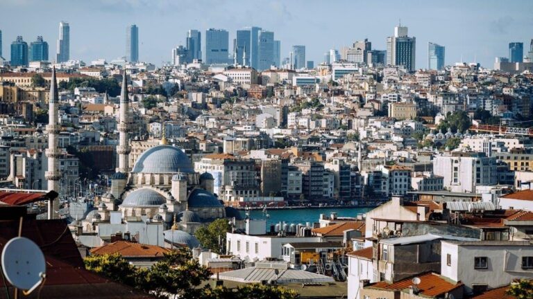 F8250047 0738 4c80 8e52 b30278f81a40 file.jpg