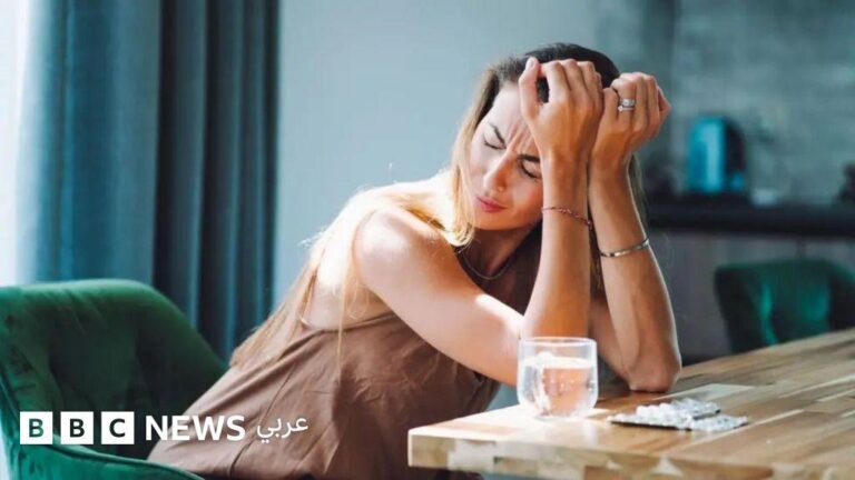 Fcfe52b8 8896 49cd 8458 d0427679dcb9 file.jpg