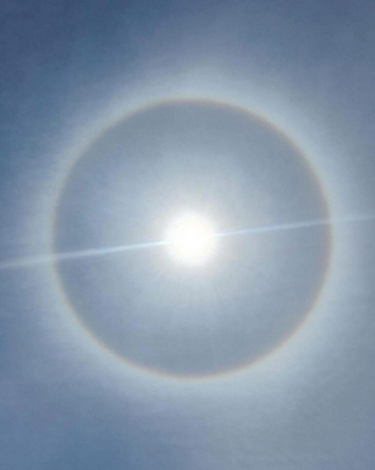 00584807 f045 4636 a53d 3d79be25828d file.jpg