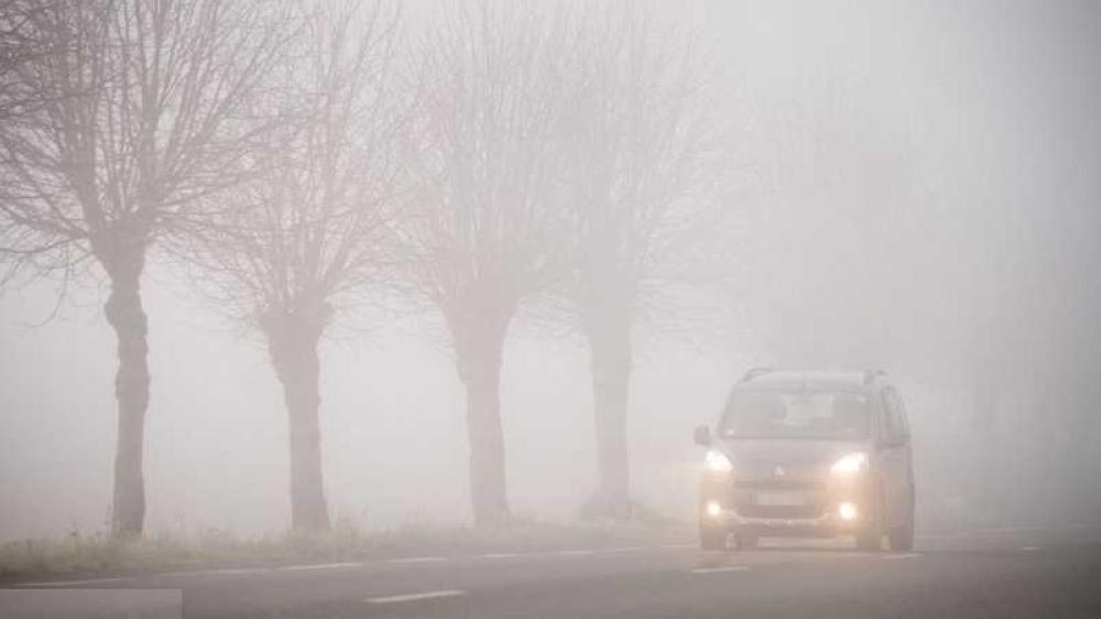 0171b19d 2caa 4a2c b1b0 6824856e3d04 file.jpg