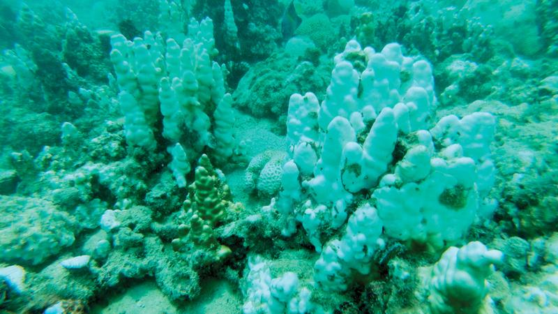 0205876a 6060 4572 9680 13c49cf7cb68 file.jpg