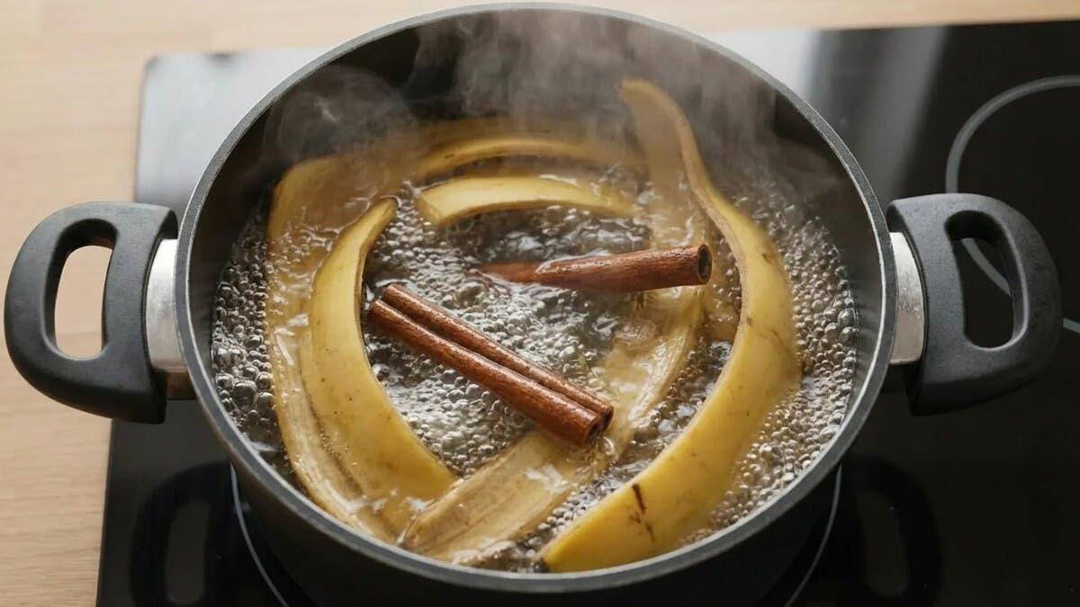 02ffd4aa 7216 4f89 85b7 b3731d7d856e file.jpg