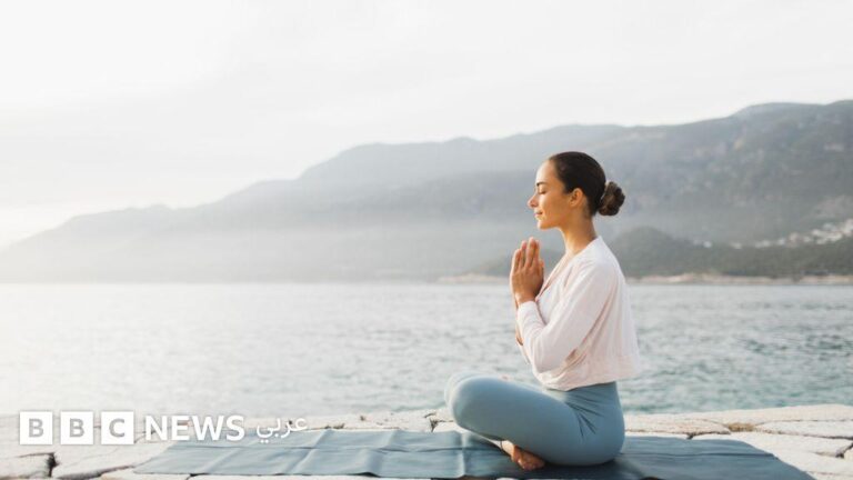 03b07826 3061 4c68 a52c 0d13d79e7c83 file.jpg