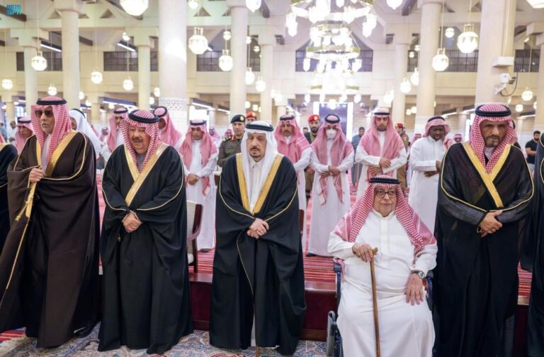 06da1649 128f 4fbc ad14 26797ce0850f file.jpg