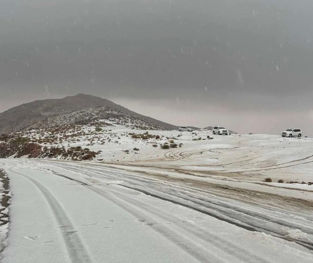 09938652 8ddc 4af7 a111 97dc967ad07b file.jpg