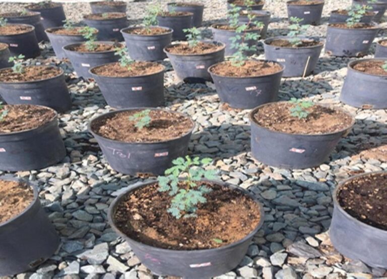 09ca194d 426e 4d41 94ee e672c818a343 file.jpg