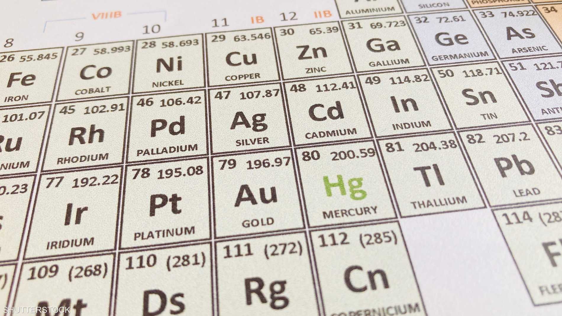 0fc4006e 95f2 44af bb1c 7fba2dc764ee file.jpeg