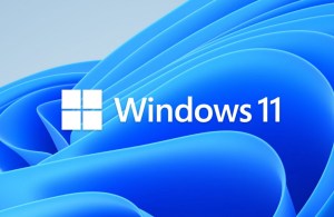 خلل في ويندوز 11 يخفي زر إظهار كلمة المرور على شاشة القفل لكنه ما زال يعمل