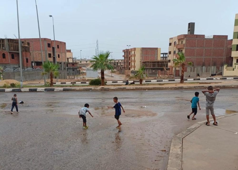 16bf7336 fd82 4cec a713 051b86ed91a7 file.jpg