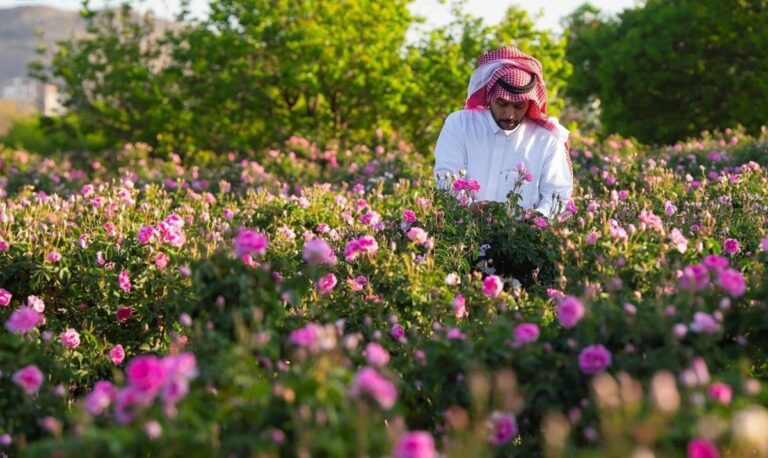 1724aa0d 22a5 440b 94e3 ad0279f4d92e file.jpg