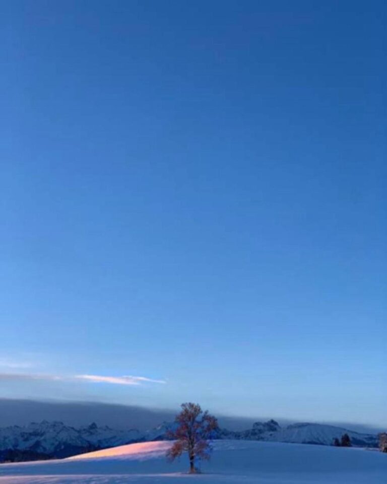 174c9863 8e07 4c3f 993c efd4b25652ee file.jpg