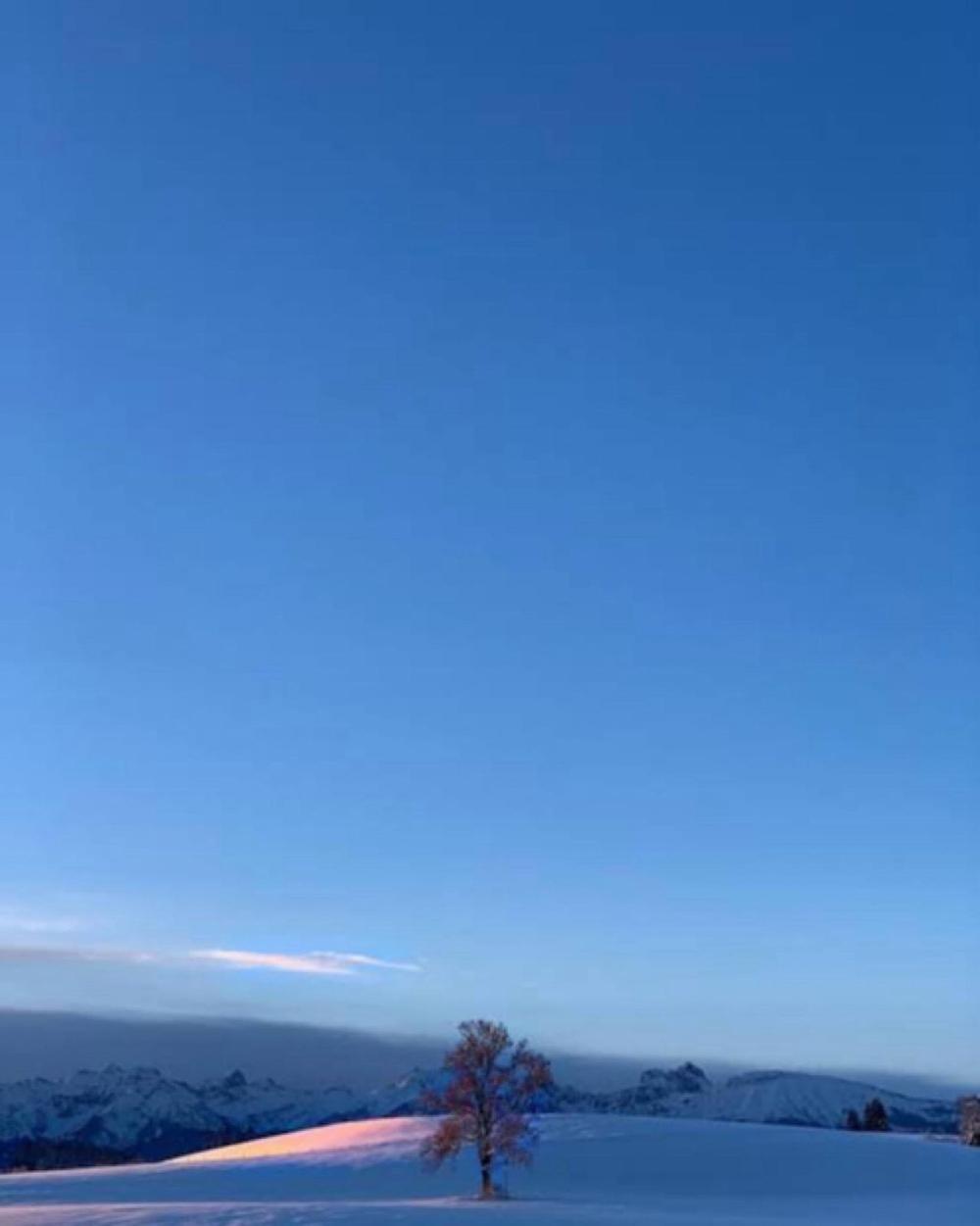 174c9863 8e07 4c3f 993c efd4b25652ee file.jpg