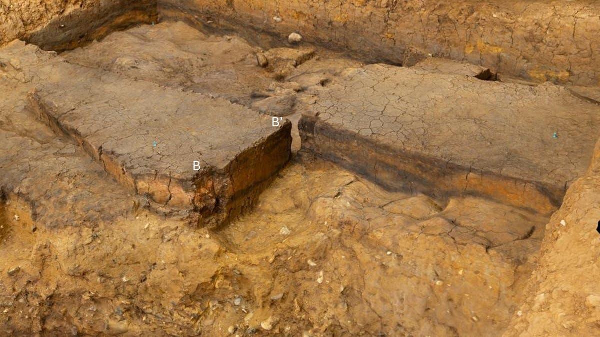 1a2382e0 5d0e 4d18 a70c 3b2ff444828a file.jpg