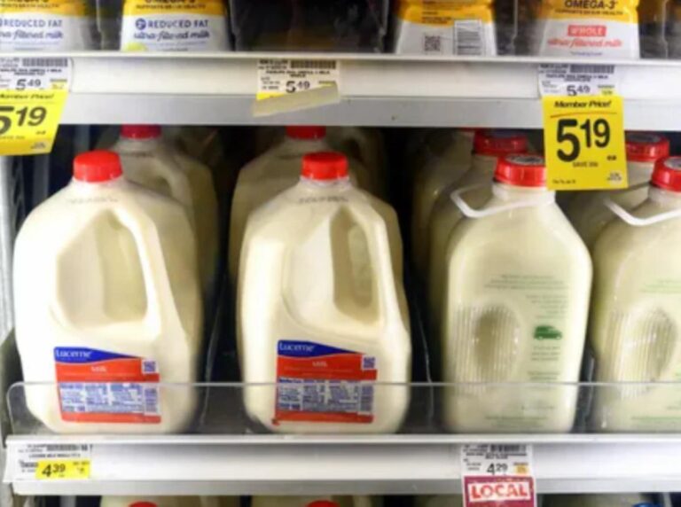 1a2450ae 7a57 4f94 ac9f 009fd53e16c6 file.jpg