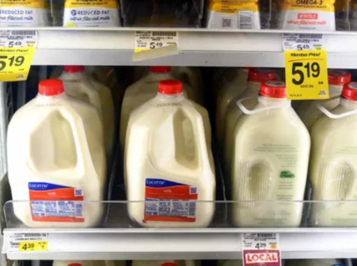 1a2450ae 7a57 4f94 ac9f 009fd53e16c6 file.jpg