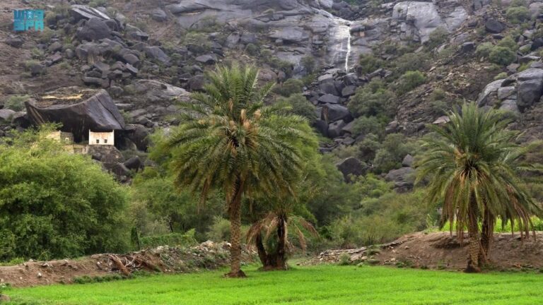 1af501c0 ecd2 46d3 b33a 0df8ef15d976 file.jpg