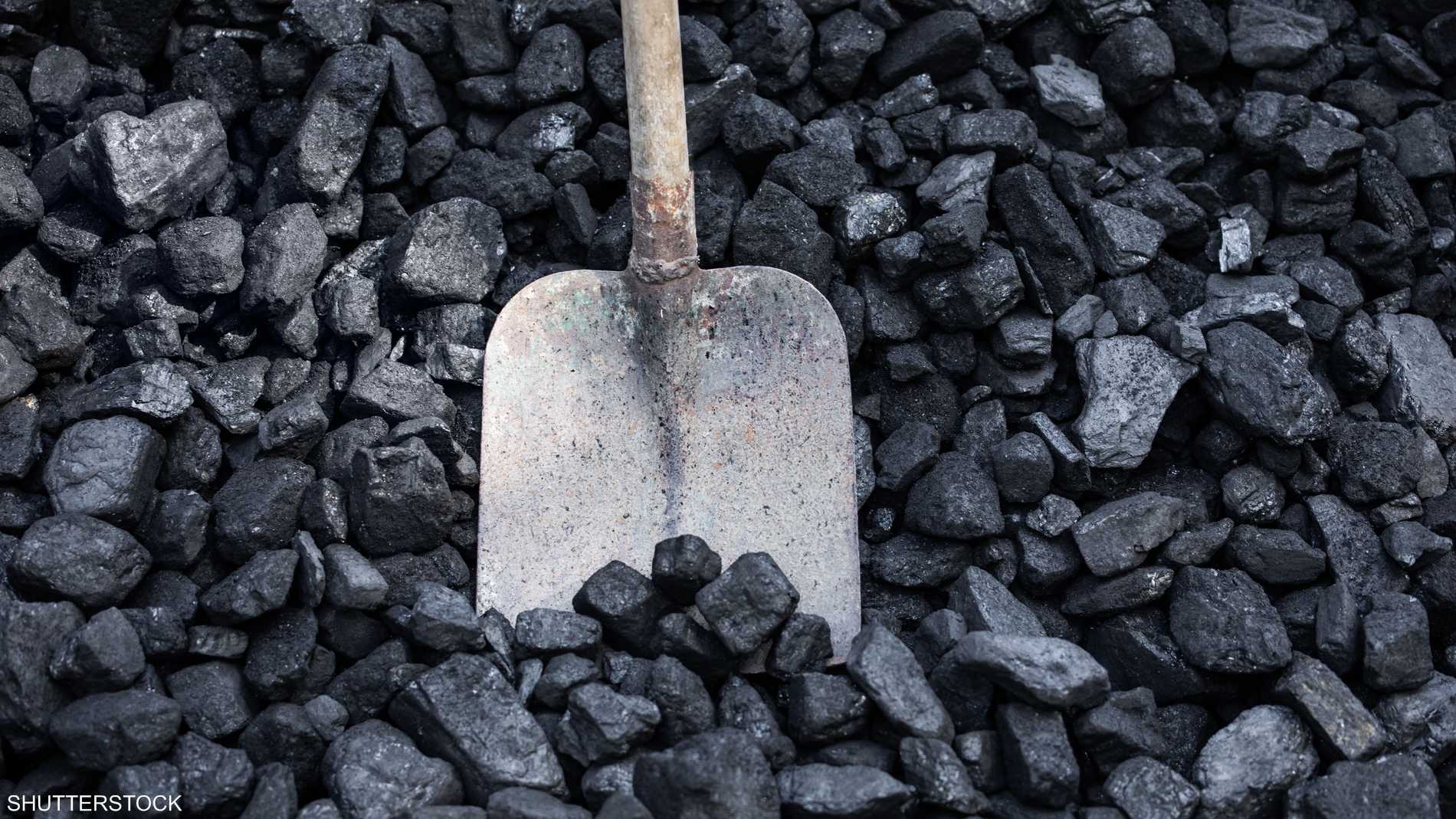 1d7fc3b3 f084 4b6e b246 259c8d75f089 file.jpeg