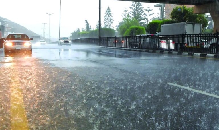 1f245fe7 03d7 4678 9e2a d2383c5aee91 file.jpg