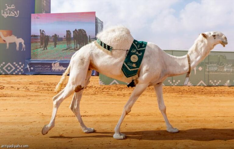 224d6215 6120 4294 bc63 39c74c5e613a file.jpg