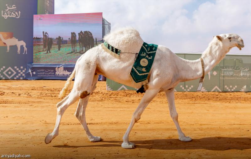 224d6215 6120 4294 bc63 39c74c5e613a file.jpg