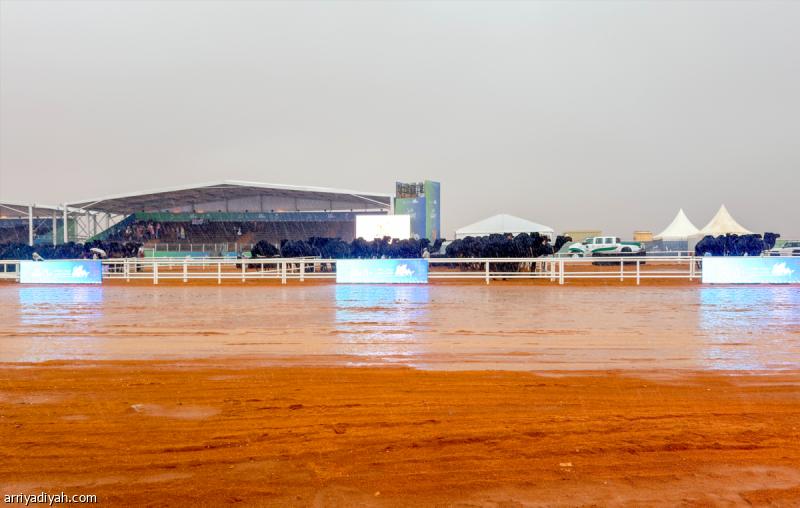 23ec40dd 6d30 4969 bf1b f7b29b889ad0 file.jpg