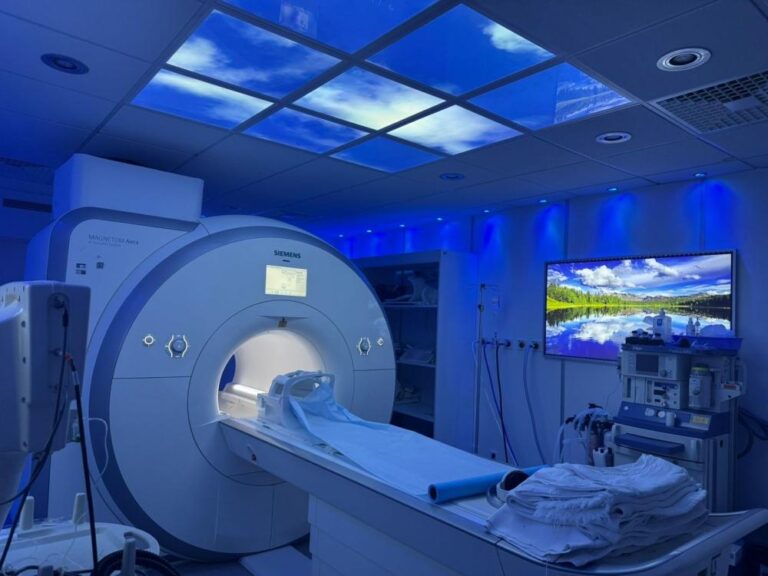 25eaa920 9634 4f5e 83ec e4e286396ea7 file.jpg