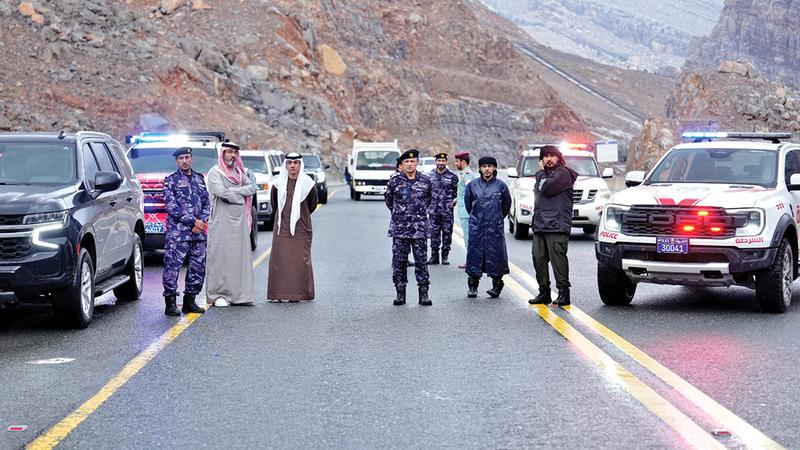 271f6fb9 7491 4b4f aee5 ada606f3ad66 file.jpg