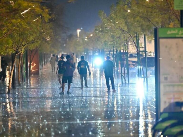 2815c1c5 000b 4b5f 92cf 3889d0b9663d file.jpg