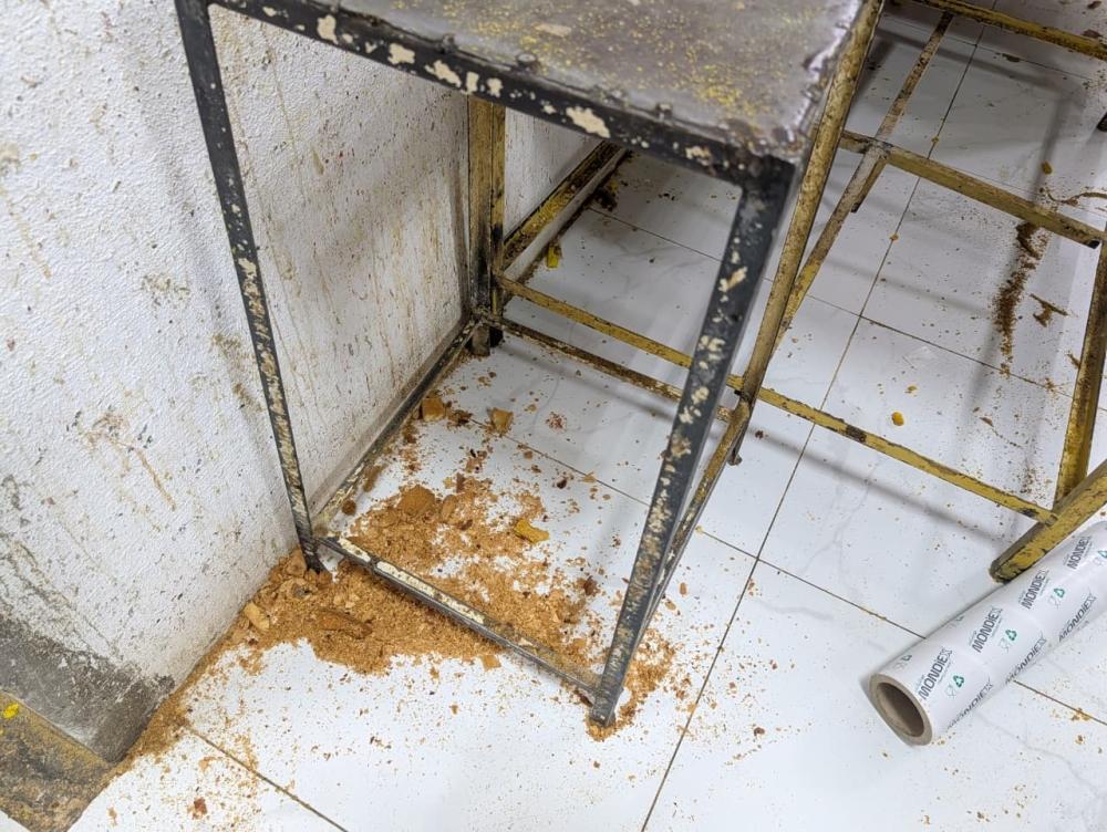 28aca847 be41 4d7e 9054 f59046daad44 file.jpg