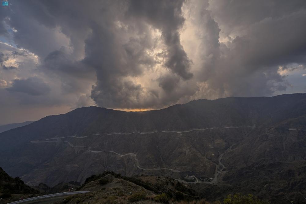 292517a1 4473 4f51 9124 c82da2fb11e3 file.jpg