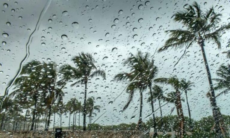 2a34b85a f958 406e 85c4 e86785e945fd file.jpg