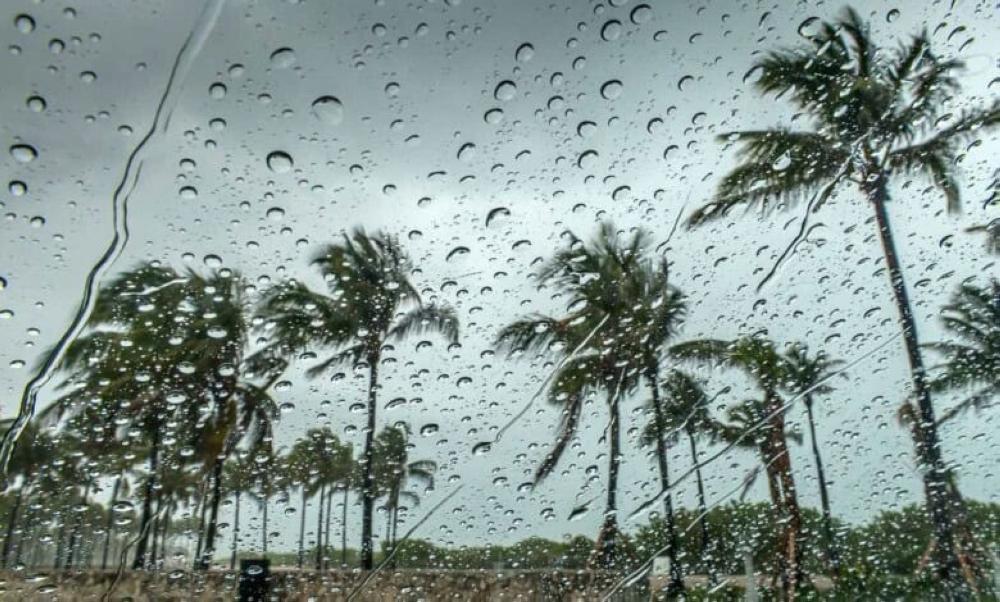 2a34b85a f958 406e 85c4 e86785e945fd file.jpg